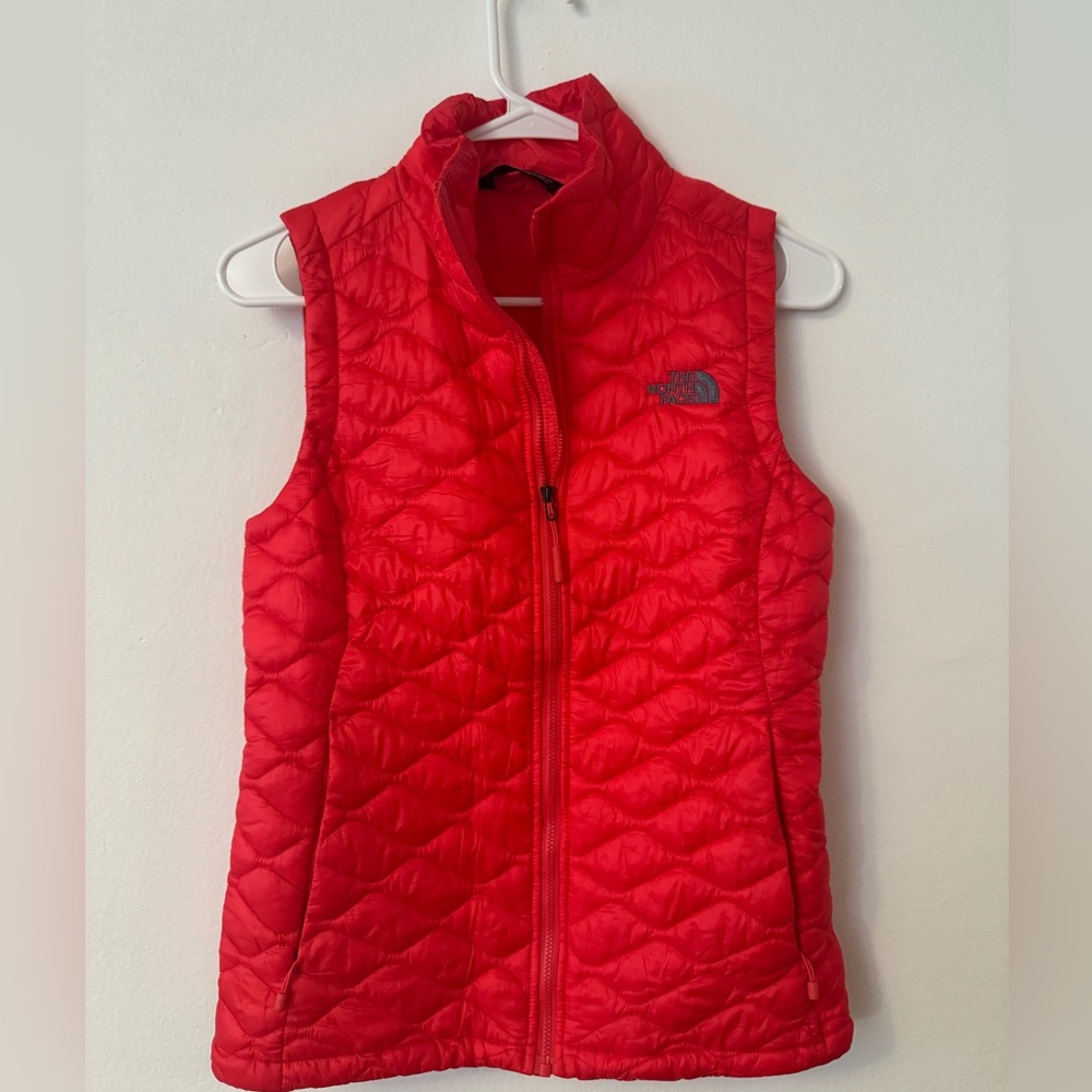 The north face vest